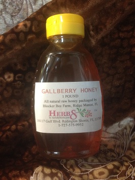 Gallberry Honey 1 LB